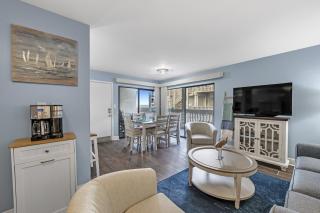 Gulf Village Unit 109 - 4