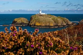 Pembrokeshire Apartment - Goodwick - 1