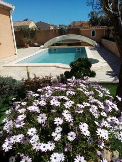 2 Chambres avec piscine et spa au calme, mer à proximité. - Portiragnes - 9