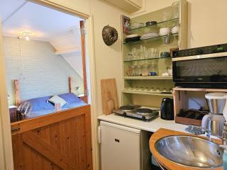 Studio midden in de natuur GR03 Grijpskerke - Grijpskerke - 4