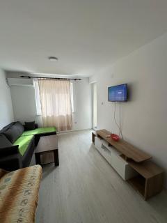 Apartmani Miljkovic 7 - Soko Banja - 4