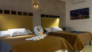 CASA DELFINES RIO LAGARTOS - 3