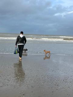 Zeebries - Blankenberge - 8