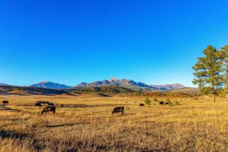 Park Place #926 - Pagosa Springs - 7