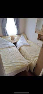 Sherwood golden palm - Chapel St. Leonards - 8