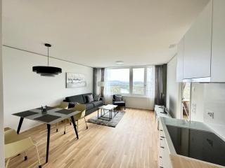 2.5 Room@MydiHei Apartments - Neuhausen am Rheinfall - 1