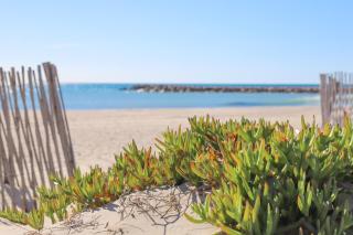 T2 Élégance Vue Mer Palavas-les-Flots - Palavas-les-Flots - 9