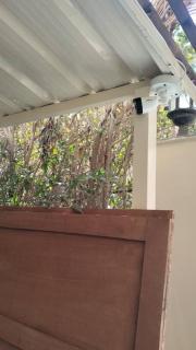 full furnished flat +big garden - 7