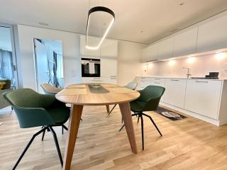 3.5Room@MydiHei Apartments - Neuhausen am Rheinfall - 9