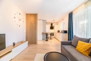 JAD Luxury 3 Rooms & 2 Rooms Apartments in Kasper, near Coresi Mall - Braşov - 3