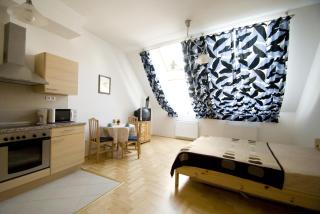 Gozsdu Spacious Apartment - Budapeste - 9