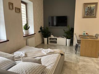 Apartamenty AP 13 - Częstochowa - 3