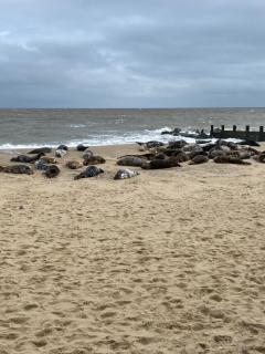 95 Sundowner, Hemsby, Norfolk - 1