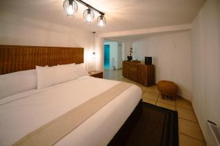 BOTANIQ HOTEL BOUTIQUE - Valle de Bravo - 5