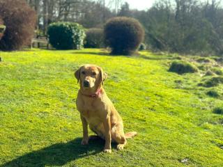 1 bed property in Near and Far Sawrey 74342 - Far Sawrey - 5