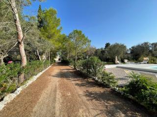 Tenuta Palmarini - San Cataldo - 9