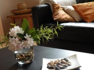Frisch renoviertes Appartement in Osterbruch - Osterbruch - 2