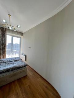Comfy Apartment in the Centre - Erevan - 9
