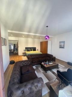 Magnificent apartment, Geneva Center, Geneva Lake - Ginevra - 0
