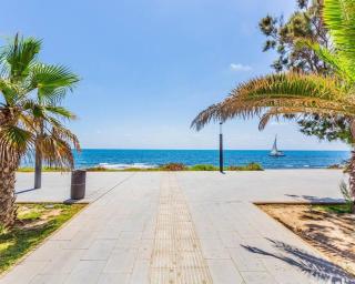 Torrevieja Hawk Apartment - 5