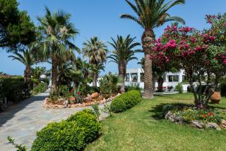 Lyttos Beach - Hersonissos - 9