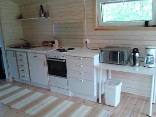 Ferienhaus in Målilla Boote Sauna See - Målilla - 4