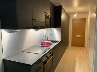 New Apartment HILLA near all the main city spots Public car parking - Rovaniemi - 4