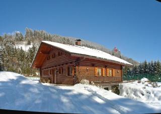 Holzblockhaus auf zwei Etagen mit Whirlbadewanne und Kaminofen - Berg im Drautal - 4