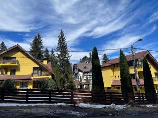 Predeal Holiday House - Predeal - 3