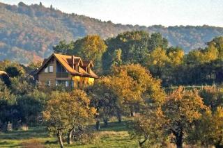Casa Zollo - Ferienhaus mit fürstlichen Zimmern - Vale - 0
