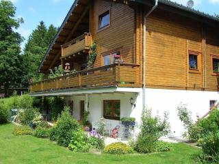 Großzügige Ferienwohnung mit großem Garten - Partner des Nationalparks Harz - Clausthal-Zellerfeld - 0