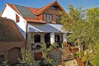 Casa Crina - rustikale Ferienvilla in Siebenbürgen - Vale - 9