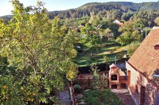Casa Crina - rustikale Ferienvilla in Siebenbürgen - Vale - 3