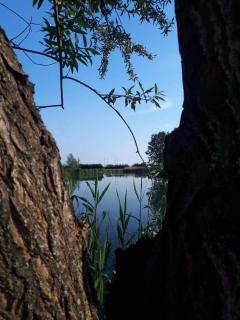 Buzogány Vendégház - Lipót - 3