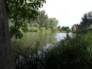 Buzogány Vendégház - Lipót - 1