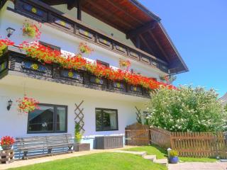 Wohl eingerichtete Wohnung mit eigenem Balkon - Sankt Michael im Lungau - 9