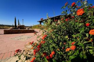 Ferienwohnung Mit Garten In Campiglia Marittima - 6