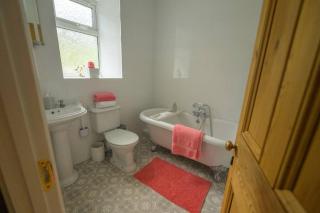 Number 2 - Mountain Ash - 3