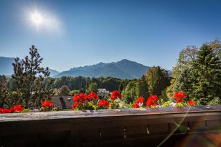 Landhotel Sonnleiten - Bad Reichenhall - 5