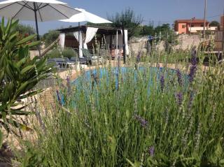 Ferienhaus In Bratulići Mit Privatem Pool - Hreljići - 2