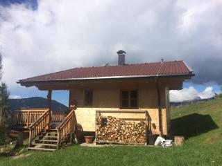 Gemütliche Berghütte mit Sauna in beeindruckender Höhenlage - Rangersdorf - 8