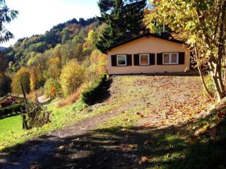 Ferienhaus für 5 Personen ca 70 qm in Sankt Andreasberg, Harz Oberharz - Sankt Andreasberg - 0
