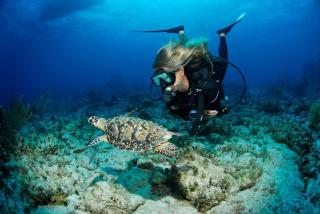 Tulixx Cayman Villa - - 5