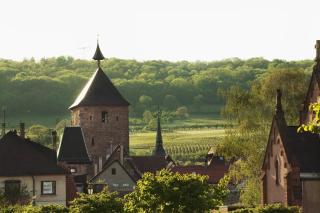 Villa Diana - Molsheim - 4