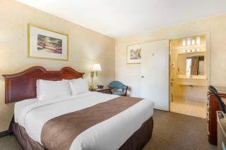 Quality Inn Vienna - Tysons Corner - Tysons Corner - 4
