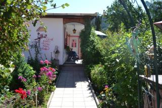 Ferienhaus für drei Personen mit Terrasse - Friedrichroda - 9