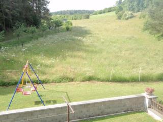 Ferienwohnung für 4 Personen ca 80 m in Niederehe, Rheinland-Pfalz Naturpark Vulkaneifel - Niederehe - 8