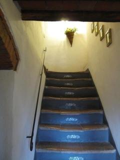 Appartamento Verde - 1