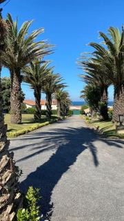 Casa das Marinhas - Grande propriedade exclusiva na praia 10' do Porto - Vila Nova de Gaia - 4