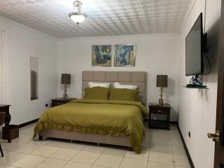 Luxury House near to Juan Sant. Airport, Alajuela. - 8